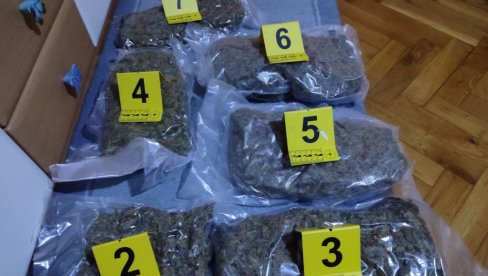 НАЂЕНО 3,5 КИЛОГРАМА МАРИХУАНЕ: Претрес куће жене из Јагодине (ФОТО) НАЂЕНО 3,5 КИЛОГРАМА МАРИХУАНЕ: Претрес куће жене из Јагодине (ФОТО)