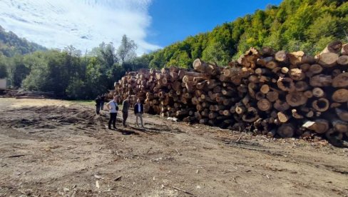 АБАЗОВИЋ ОБЈАВИО РАТ ШУМАРСКОЈ МАФИЈИ: Шумокрадице држави отеле милијарду АБАЗОВИЋ ОБЈАВИО РАТ ШУМАРСКОЈ МАФИЈИ: Шумокрадице држави отеле милијарду