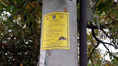 У Пожаревцу почела јесења дератизација У Пожаревцу почела јесења дератизација