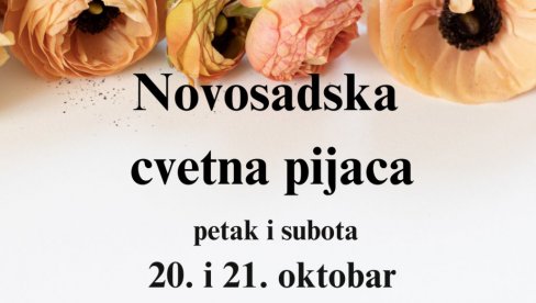 НОВОСАДСКА ЦВЕТНА ПИЈАЦА : За викенд на платоу Вујадина Бошкова НОВОСАДСКА ЦВЕТНА ПИЈАЦА : За викенд на платоу Вујадина Бошкова