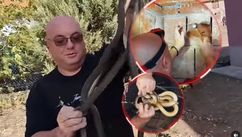 ПОРОДИЦА БЛАГОЈЕВИЋ У ШОКУ: Владица је из зида извукао четири огромне змије - кад је почео, крај се није назирао (ВИДЕО) ПОРОДИЦА БЛАГОЈЕВИЋ У ШОКУ: Владица је из зида извукао четири огромне змије - кад је почео, крај се није назирао (ВИДЕО)
