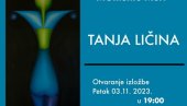 ИЗЛОЖБА УМЕТНИЦЕ ИЗ БЕОГРАДА У ВРАЊУ: Моменто Мори пред љубитељима ликовне уметности