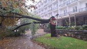 TROBOJKA JAČA OD OLUJE: Nevreme u Crnoj Gori, u Nikšiću jak vetar slomio staru topolu (FOTO)