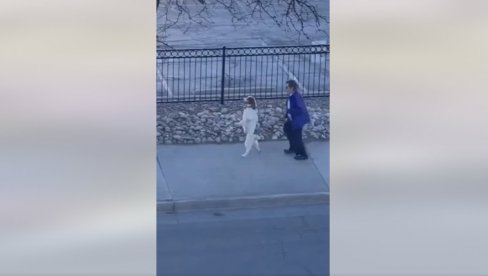 NEOBIČNA ŠETNJA PSA I NJEGOVOG VLASNIKA: Od prvog trenutka ćete se nasmejati (FOTO/VIDEO) NEOBIČNA ŠETNJA PSA I NJEGOVOG VLASNIKA: Od prvog trenutka ćete se nasmejati (FOTO/VIDEO)
