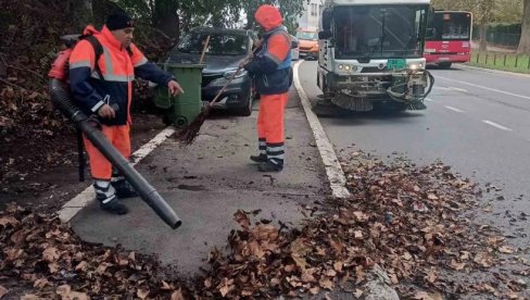 ТРОДНЕВНА АКЦИЈА НА ЧУКАРИЦИ: Чистили зелене површине и тротоаре