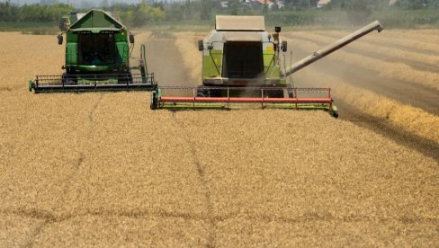 FAO: Cene hrane pale na najniži nivo u poslednja tri meseca, jedino meso dostiglo novi rekord
