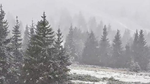 STIGLE PRVE PAHULJE: Kopaonik se zabeleo u jesen (FOTO/VIDEO)