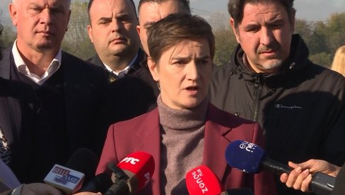 DOGOVOR JE POSTIGNUT, POŠTAR MITROVIĆ JE POLITIČAR Brnabić: Poziva na izbore i predstavlja 48 radnika od 14.000 zaposlenih (VIDEO)