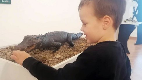 PRIRODA NA DODIR: Izložba Prirodnjačkog muzeja Crne Gore u Vršcu PRIRODA NA DODIR: Izložba Prirodnjačkog muzeja Crne Gore u Vršcu