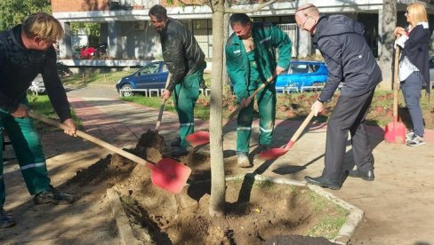 SREĐEN PARK U BLOKU 21: Zelena površina u Bulevaru Mihajla Pupina ulepšana sa 243 ukrasna žbuna SREĐEN PARK U BLOKU 21: Zelena površina u Bulevaru Mihajla Pupina ulepšana sa 243 ukrasna žbuna