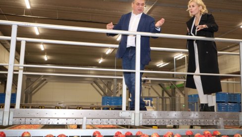 Delta Agrar i Delez Srbija obišli moderne zasade jabuka u okolini Zaječara: Rekordni prinosi Pink Lady Delta Agrar i Delez Srbija obišli moderne zasade jabuka u okolini Zaječara: Rekordni prinosi Pink Lady