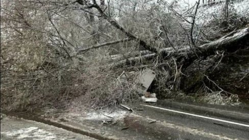 PRVI SNEG DONEO PROBLEME U CRNOJ GORI: Stablo palo na kola u pokretu, dve osobe povređene (FOTO/VIDEO)