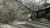 PRVI SNEG DONEO PROBLEME U CRNOJ GORI: Stablo palo na kola u pokretu, dve osobe povređene (FOTO/VIDEO)