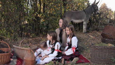 OD PREDAKA NASLEDILI I GENE I ZANATE: Pogledajte kako mladi kod Kruševca zarađuju za život i čuvaju tradiciju (FOTO/ VIDEO) OD PREDAKA NASLEDILI I GENE I ZANATE: Pogledajte kako mladi kod Kruševca zarađuju za život i čuvaju tradiciju (FOTO/ VIDEO)