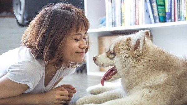 ЗАШТО ВАС ПАС ПОСМАТРА ДОК ЈЕДЕТЕ? Није само жеља за залогајем