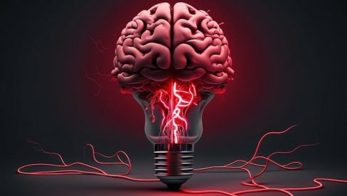 НАУЧНИЦИ УПОЗОРАВАЈУ: Само неколико дана лоше исхране лоше утиче на памћење и мозак