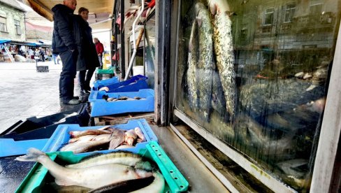 ЦЕНЕ РИБЕ НА ПИЈАЦАМА: Колико кошта пастрмка, а колико шаран ЦЕНЕ РИБЕ НА ПИЈАЦАМА: Колико кошта пастрмка, а колико шаран