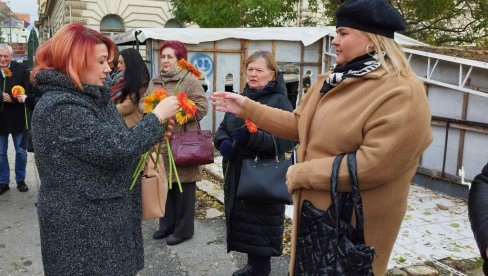 I OVO JE NASILJE: I Zrenjanin deo projekta Kultura za demokratiju (FOTO)