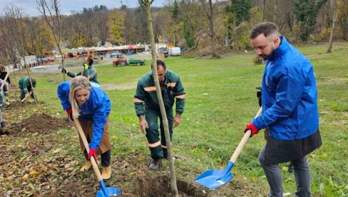 ZASAĐENO 20 JASENA: Akcija ozelenjavanja u Vrnjačkoj Banji (FOTO)