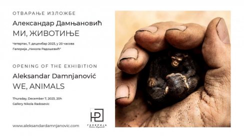 DIJALOG SVETLOSTI I ŽIVOTA: Fotografije Aleksandra Damnjanovića u galeriji Nikola Radošević DIJALOG SVETLOSTI I ŽIVOTA: Fotografije Aleksandra Damnjanovića u galeriji Nikola Radošević