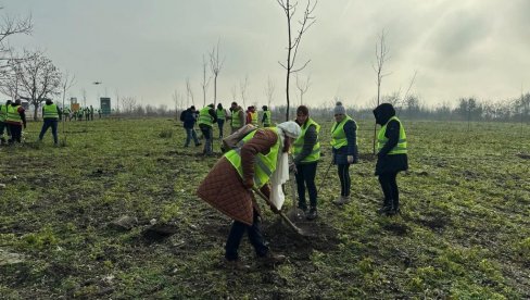 NOVA STABLA I VIŠE RIBE Akcija pošumljavanja i poribljavanja u Kuli