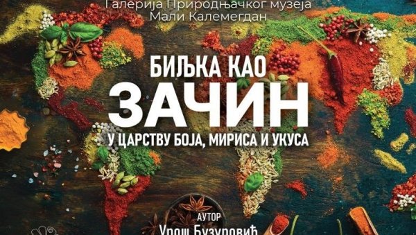 ЧУДЕСНА МОЋ ЗАЧИНА: Поставка у Галерији Природњачког музеја на Калемегдану