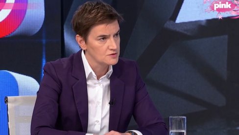 BRNABIĆ: Nasiljem hoće da menjaju izbornu volju naroda