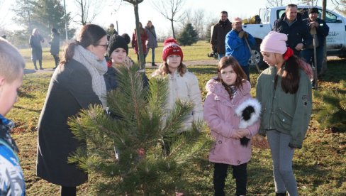 KOD KIKINDE 10. „ŠKOLSKA ŠUMA“: U Bašaidu zasađeno 150 sadnica javora, jasena, bora i ukrasnog žbunja