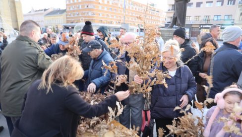 БАДЊАЦИ ЗА 10 ХИЉАДА ПОРОДИЦА: НП „Фрушка гора“ уочи Божића поново обрадовао Новосађане (ФОТО)