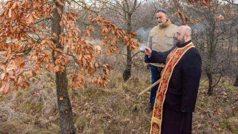 ZOROM PO BADNJAK: U Zaječaru se i ove godine otvara Ulica božićne radosti