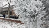 ŠOKANTNE PROGNOZE METEOROLOGA: Polarni vrtlog jača i brzo se širi, dobija ledenu energiju - od dve pojave zavisi kakva će biti zima