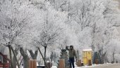 СТИЖЕ ЗИМА КАКВУ НИСМО ИМАЛИ ГОДИНАМА Упозорење Ивана Ристића - Може све да заледи, температура ће ићи и до -15