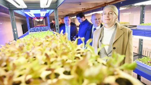 МИНИСТАРКА БЕГОВИЋ ОБИШЛА ИНСТИТУТ ЗА ПОВРТАРСТВО: Проценићемо научни потенцијал МИНИСТАРКА БЕГОВИЋ ОБИШЛА ИНСТИТУТ ЗА ПОВРТАРСТВО: Проценићемо научни потенцијал