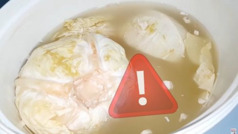 KISELI KUPUS NIJE ZA SVAKOGA: Ruski naturolog otkriva kome se ne preporučuje