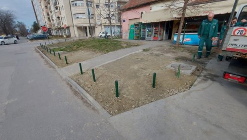 DA AUTOMOBILE NE PARKIRAJU GDE STIGNU : U Novom Sadu postavljaju metalne stubove da zaštite zelene površine