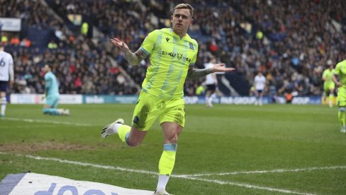 DEFICIT GOLOVA: Roversi podrezuju krila sovama