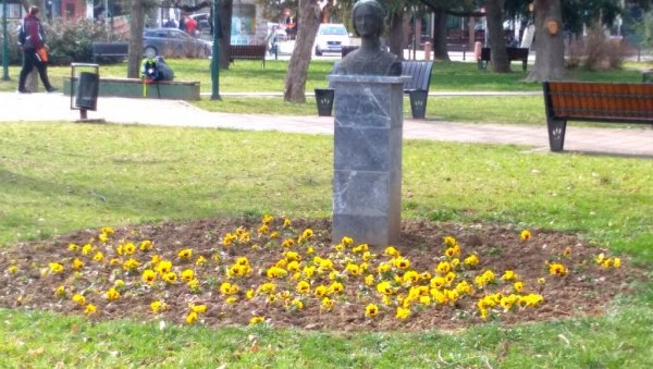 Прве цветне леје у центру Пожаревца