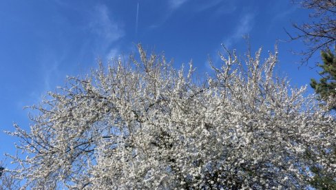 SUTRA VRHUNAC TOPLOTNOG TALASA: Meteorolog Savić za Novosti otkrio  kad nam dolazi zahlađenje (FOTO)