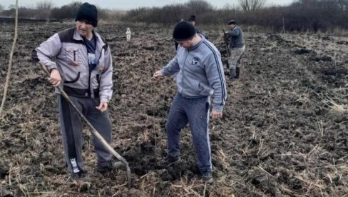 AKCIJA POŠUMLJAVANJA: Kod Zrenjanina zasadili 500 sadnica bagrema i 200 sadnica topole (FOTO) AKCIJA POŠUMLJAVANJA: Kod Zrenjanina zasadili 500 sadnica bagrema i 200 sadnica topole (FOTO)