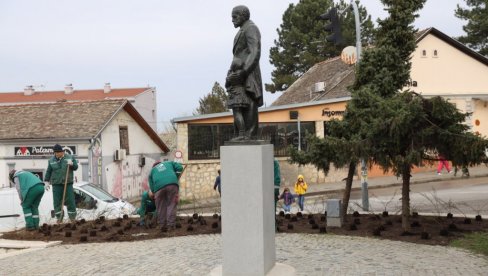 100 RUŽA ZA ČIKA JOVU  ZMAJA : Akcija novosadskog JKP „Gradsko zelenilo“ u Sremskoj Kamenici