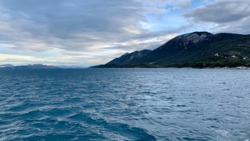 NESVAKIDAŠNJI PRIZOR NA JADRANSKOM MORU: Kamere zabeležile okršaj morskih životinja (FOTO)