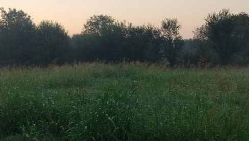 U PADINSKOJ SKELI SAMI KOSE TRAVU: Udruženje građana prikuplja novac za kupovinu opreme, jer njihovo naselje nije u režimu Zelenila U PADINSKOJ SKELI SAMI KOSE TRAVU: Udruženje građana prikuplja novac za kupovinu opreme, jer njihovo naselje nije u režimu Zelenila