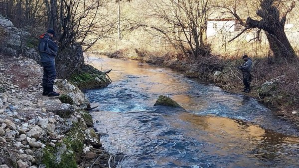 ПЕЦАРОШИ ЛОВИЛИ КРАЉИЦУ БРЗАКА: Сезона вараличарења пастрмке отворена у кањону реке Црнице, код Забреге