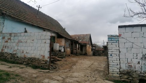 UBIO OVCE JER JE MORAO DA IH ČUVA? Ko je zakazao u slučaju dečaka koji je sekirom kod Vršca usmrtio 12 jaganjaca (FOTO)