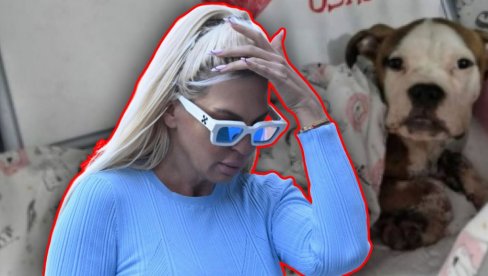 УМАЛО УБИЈЕН: ЈК му помогла, хитно оперисан - два теријера га изгризла скоро до смрти (ФОТО) УМАЛО УБИЈЕН: ЈК му помогла, хитно оперисан - два теријера га изгризла скоро до смрти (ФОТО)