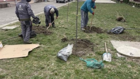 UREDILI DVORIŠTE ŠKOLE U BUSIJAMA: Oko 300 đaka isturenog odeljenja OŠ Branko Radičević uživaće u novom ambijentu UREDILI DVORIŠTE ŠKOLE U BUSIJAMA: Oko 300 đaka isturenog odeljenja OŠ Branko Radičević uživaće u novom ambijentu