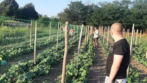 SAMO BORCI OPSTAJU NA SELU: Porodica LJubisavljević iz Krušara kod Ćuprije, živi isključivo od poljoprivrede