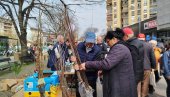 РАДОСЛАВ ГОДИЋ ПРОИЗВОДИ ЕВОДИЈУ: Медоносно дрво сади се до краја марта (ФОТО)