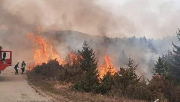 ЛОКАЛИЗОВАН ПОЖАР КОД ПРИЈЕПОЉА: Ватра захватила скоро 100 хектара траве (ФОТО)