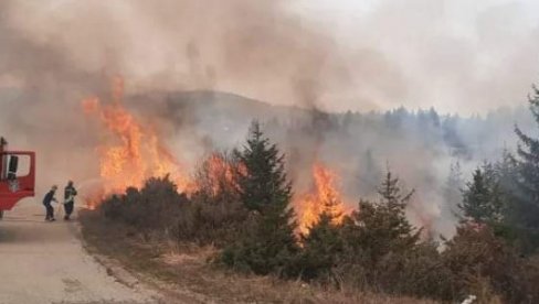 LOKALIZOVAN POŽAR KOD PRIJEPOLJA: Vatra zahvatila skoro 100 hektara trave (FOTO)